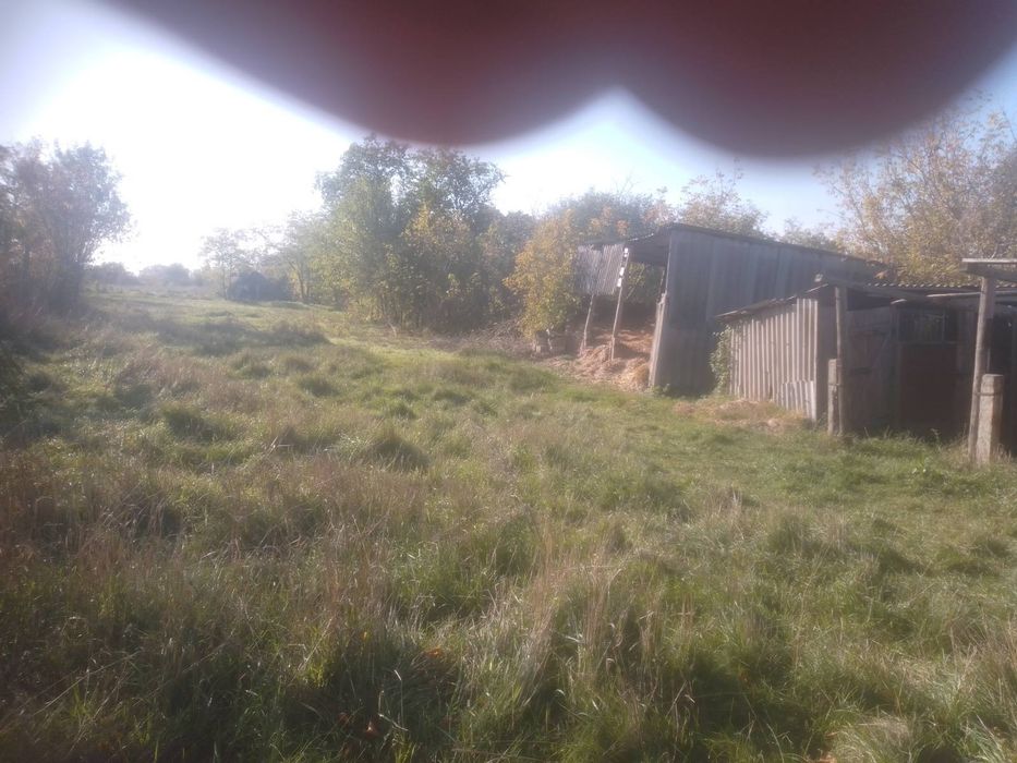 Продам 2 будинки с.Кам'яна балка