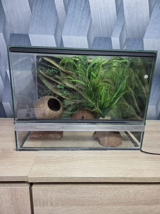 Sprzedam terarium dla gada 40x30x30