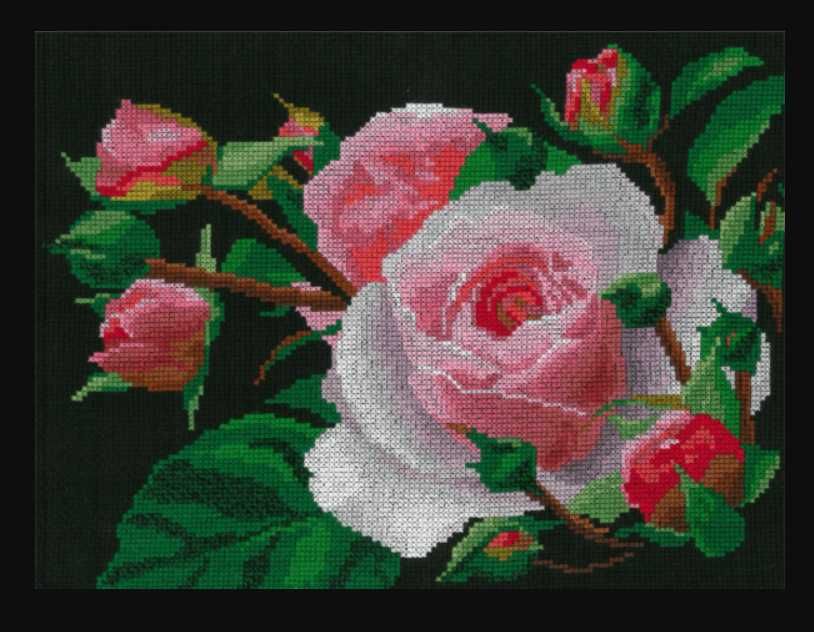 Перенабір до набору Nitex Роза, арт-0002