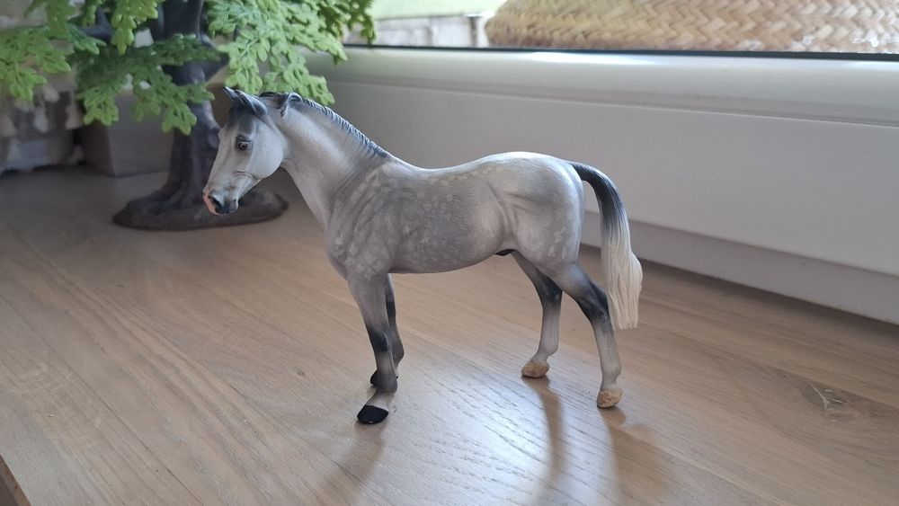 Ogier hanowerski jabłkowity collecta