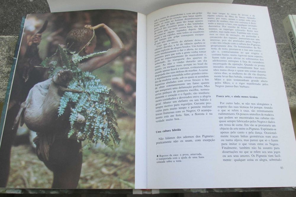 Grandes Enigmas do Homem, As Origens do Homem (2 volumes)