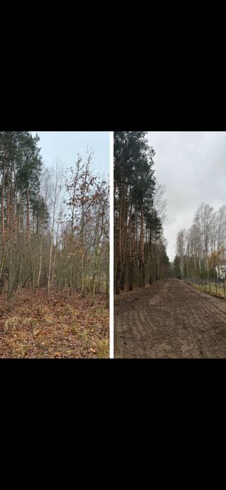 Mulczer Wgłębny Karczowanie Rekultywacja Działek Wycinka Drzew
