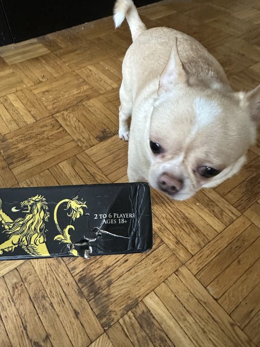 Monopoly Game of Thrones Гра престолів