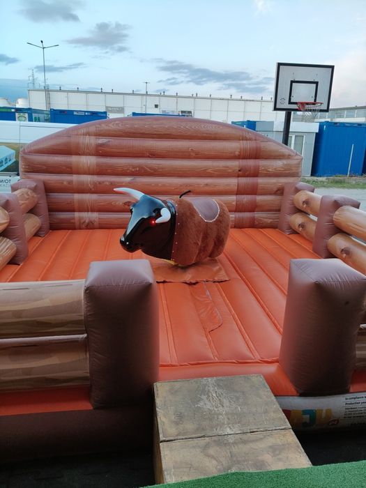 Byk RODEO Wynajem