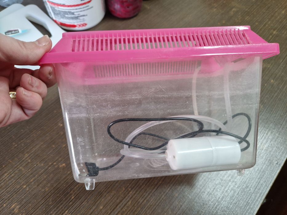 Aquário para peixe pequeno com bomba