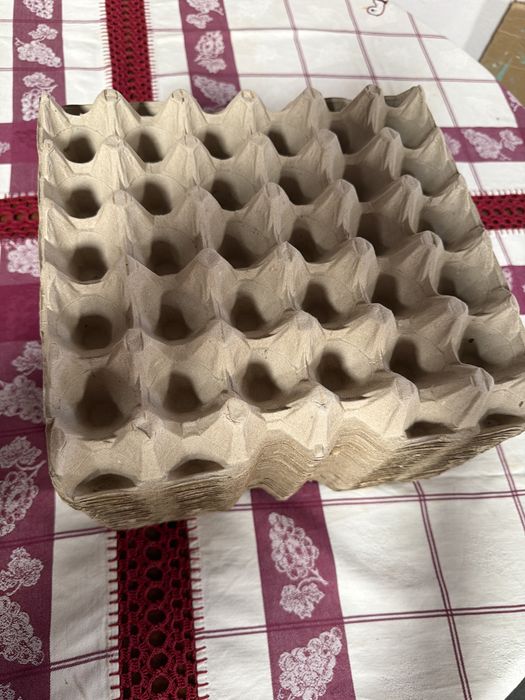 Caixas de 30 ovos novas