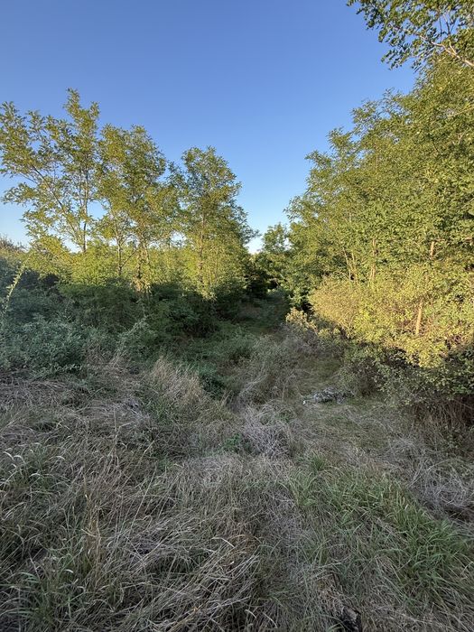 Продам будинок Сурсько-Литовське