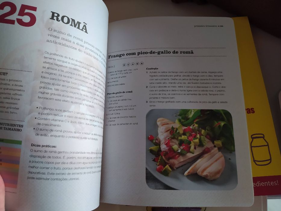 Livro 100 melhores alimentos gravidez