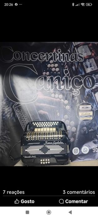 Vendo concertina Ranco