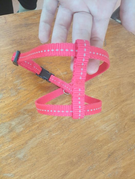 Шлейки для собаки или кота
