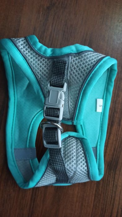 Ошийник для кота собачки