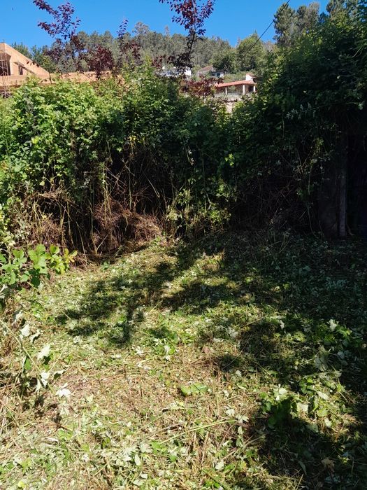 Limpeza de terrenos