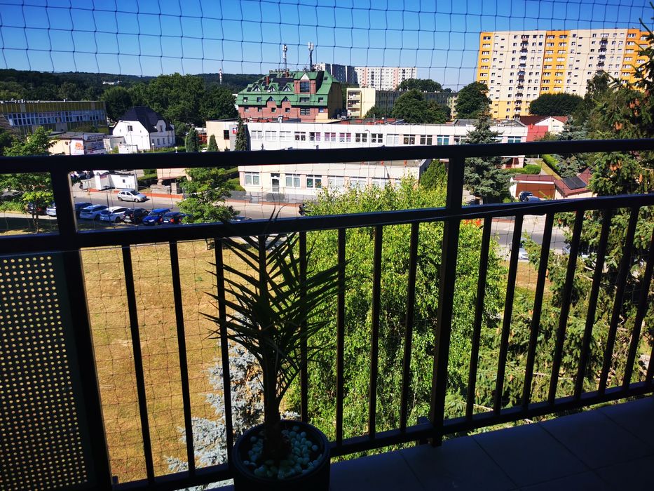 Serwisant złota rączka