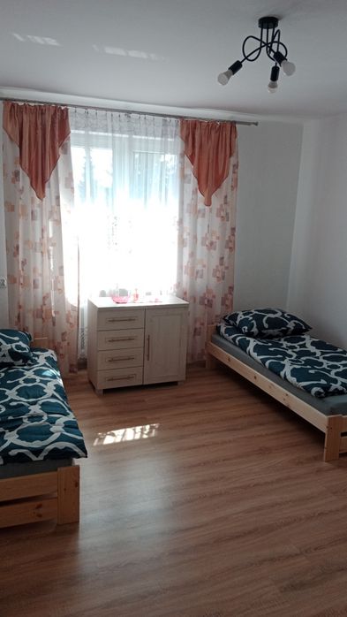 Lokale do wynajęcia