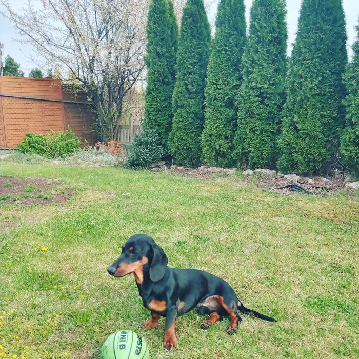 Мальчик для вязки 500грн.