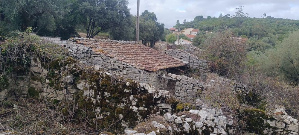 Terreno urbano no PNSAC – 1.525 m² | Alcanede | Sossego e Natureza