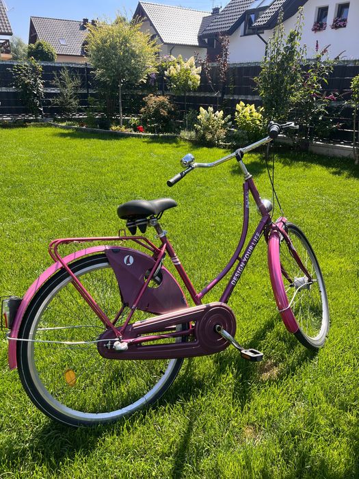 Rower miejski, typ holenderski