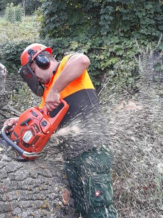 Спил аварійних дерев