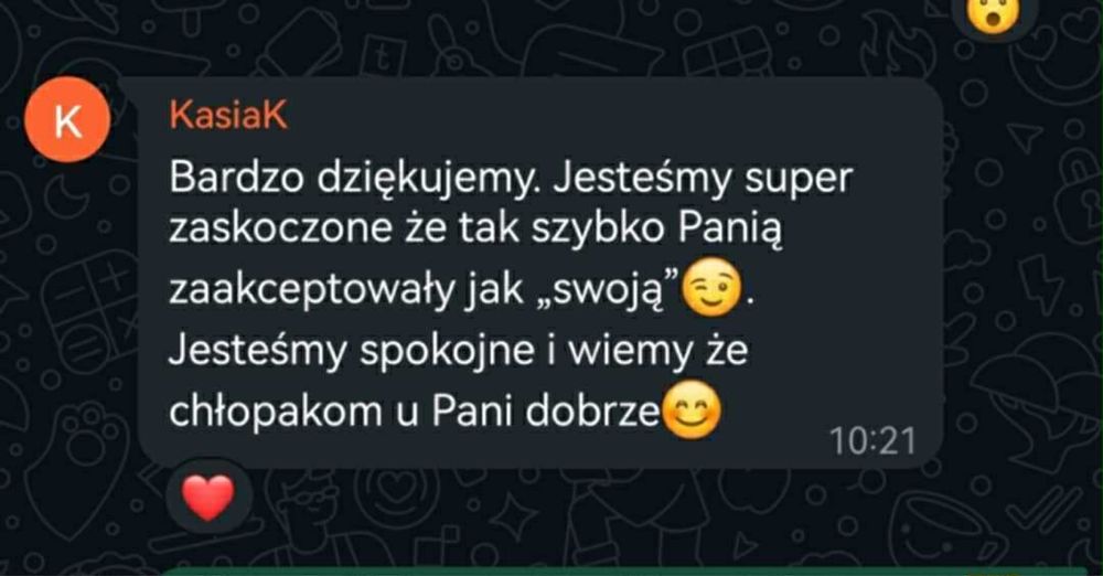 Opiekunka/niania/petsitter do zwierząt