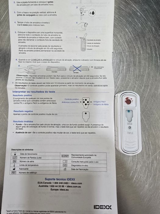 Gatinha Scottish Fold