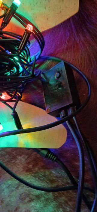 Lampki zewnętrze na dom czy choinkę