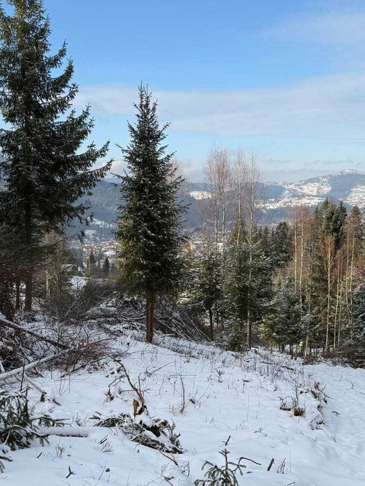 Ділянка Карпати ,Земля Микуличин,Земля в горах,ділянка в лісі