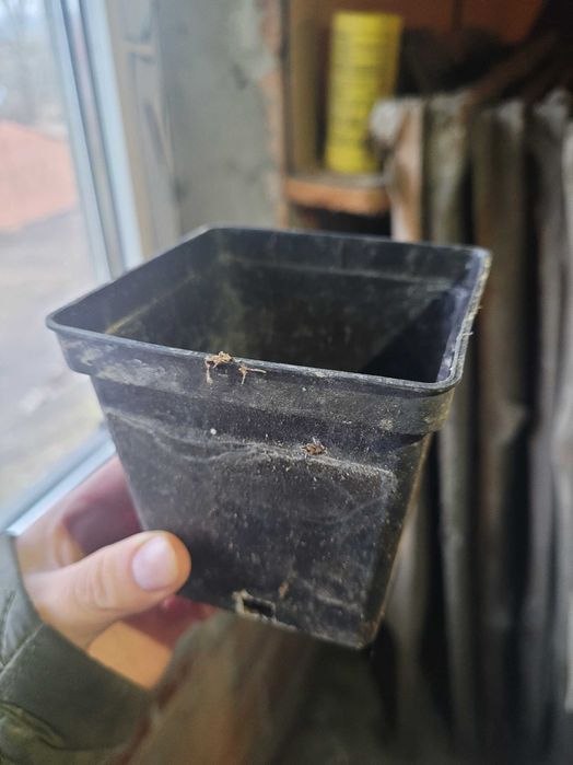 Używane donice produkcyjne P9