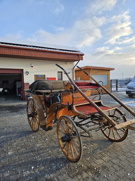 Bryczka na konia,  powóz konny
