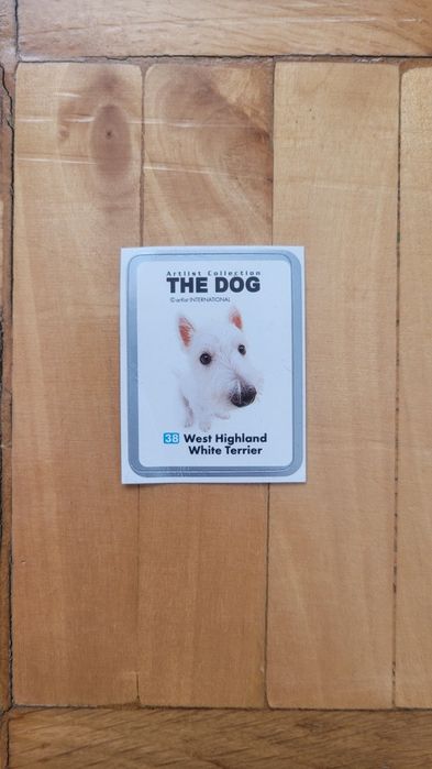 Mini naklejka The Dog