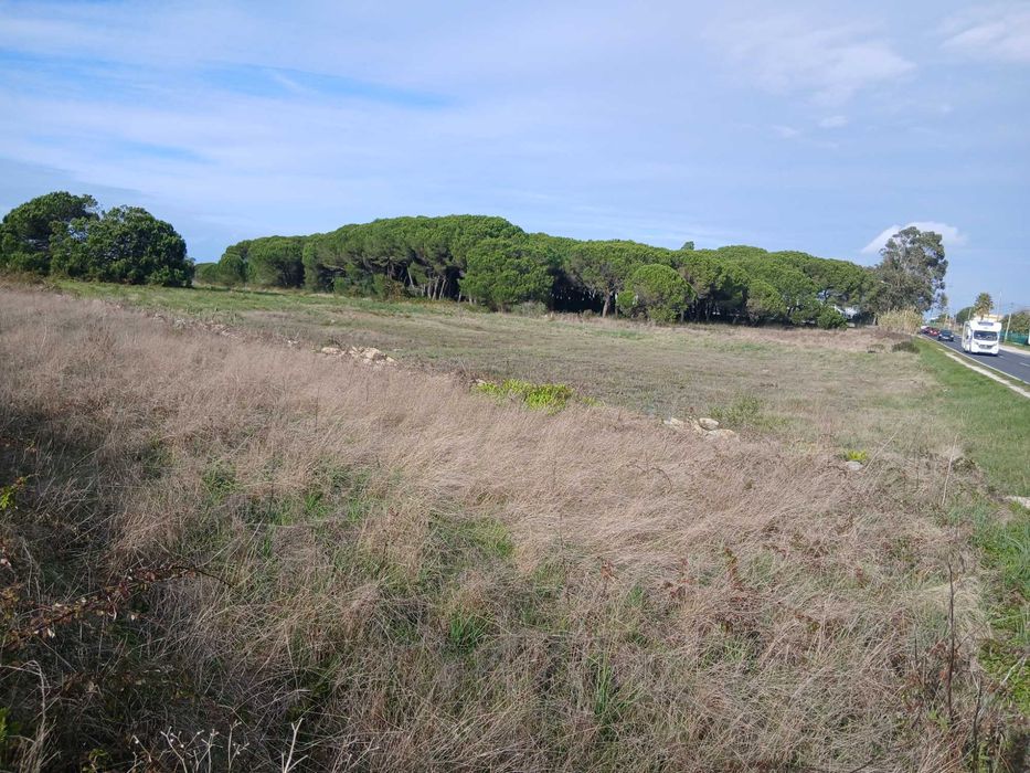 Terreno Industrial – 14.000 m² – Terrugem, Sintra