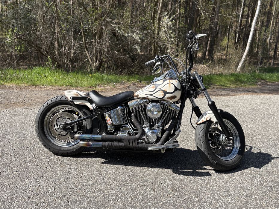 Harley Davidson softail custom