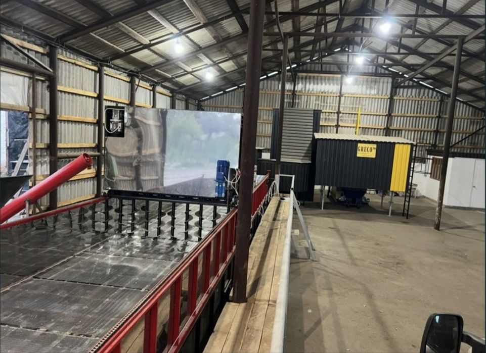 Сушка гарбузового насіня