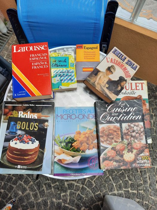 Livros usados/dicionários