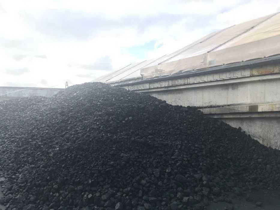 Opał: Węgiel kamienny, Kostka, Orzech, Groszek; Pellet; KDW PGG