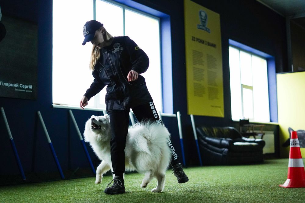 Школа Дресирування виховання Собак Камянець-Подільський з проживанням