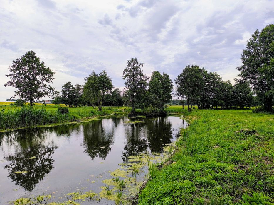 Domki letniskowe z sauną i balią, wieś na Mazowszu 100 km od Warszawy