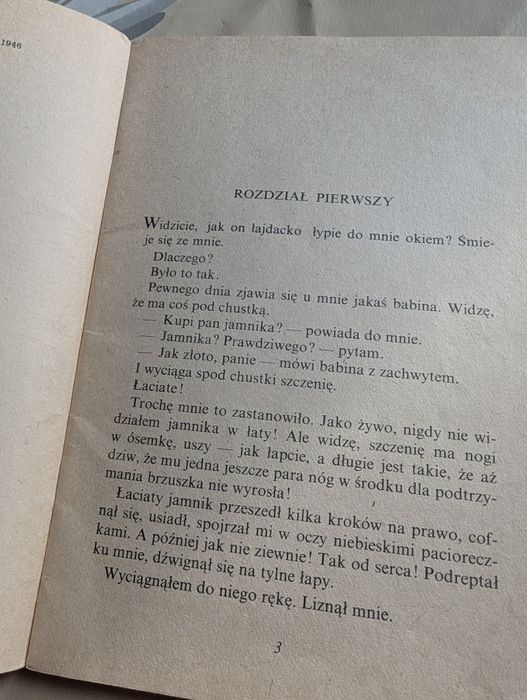 Stara ksiazka, Reksio I Pucek, Grabowski