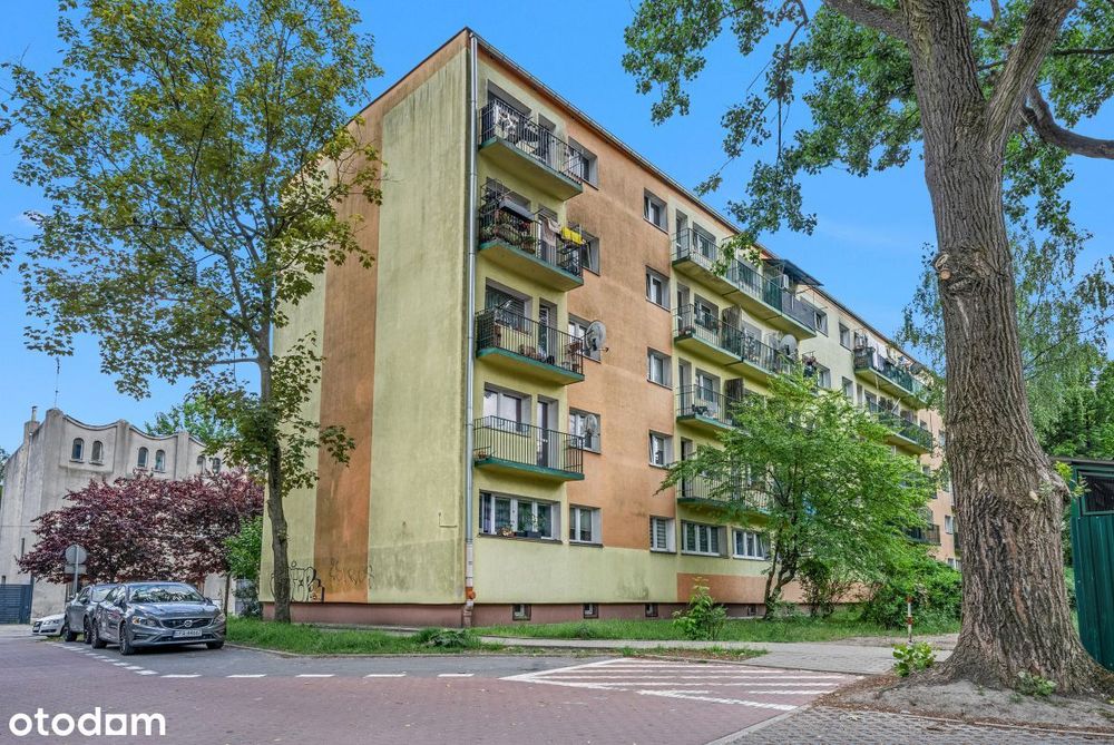 Fajna kawalerka szuka fajnego najemcy, Koziny - Więcej