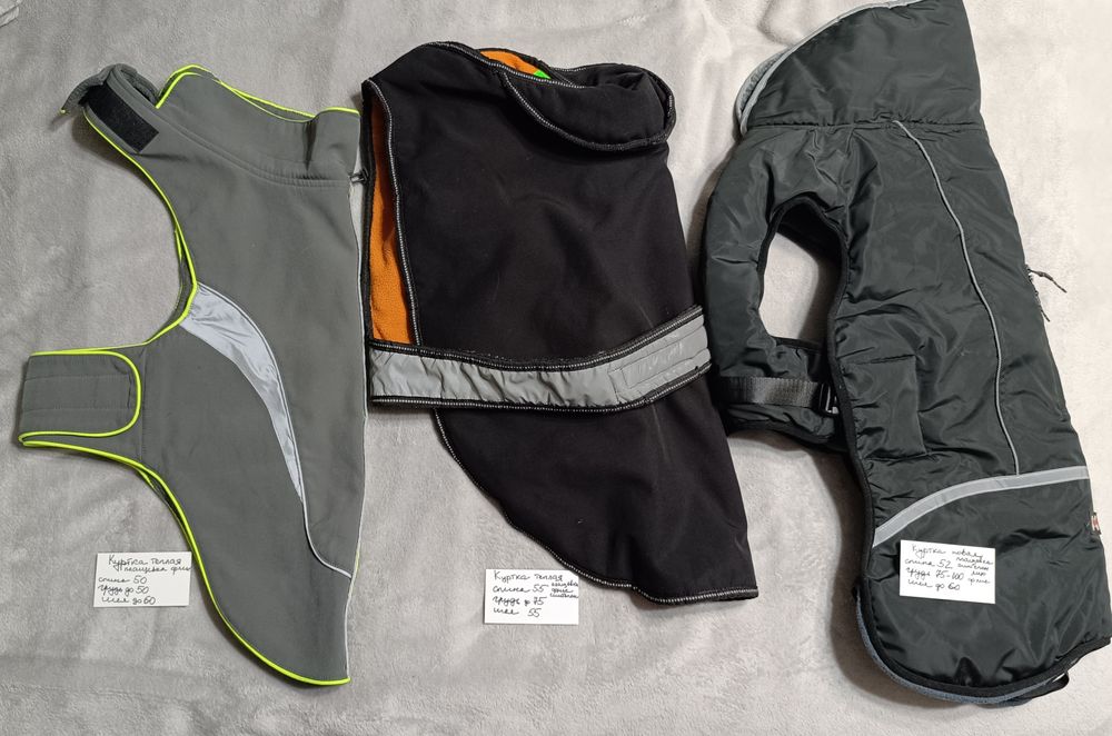 Одежда для собак, одяг для собак