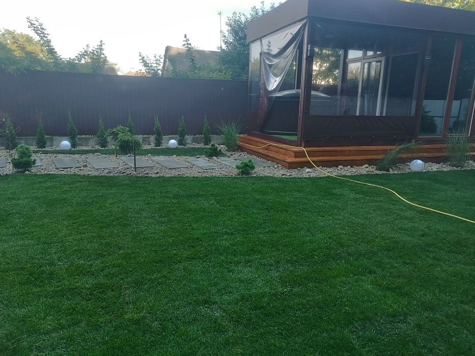 Газон, трава, штучна трава, стрижка, ландшафт, топіар, бонсай, нівакі,