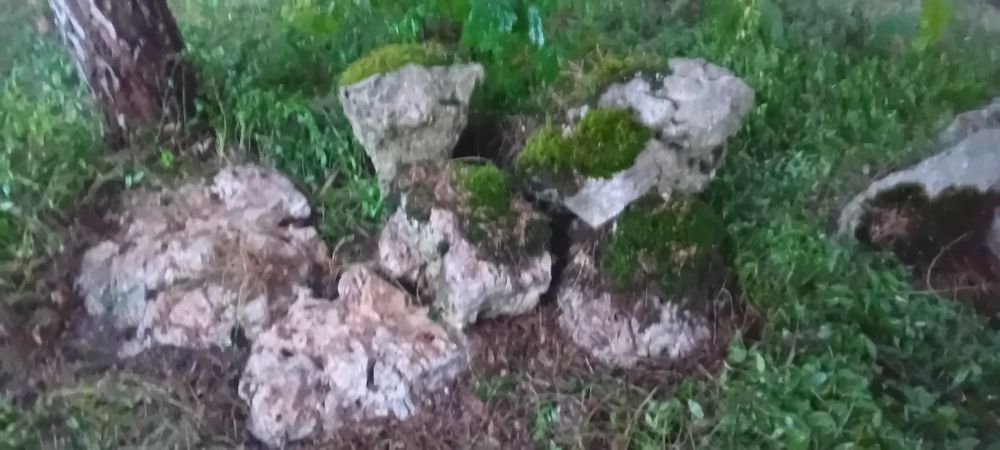 9 dużych głazów  wapiennych ,ostańców