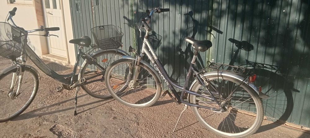 Bicicletas clássicas Pegasus