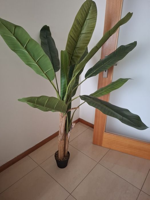 Moveus de sala e planta artificial