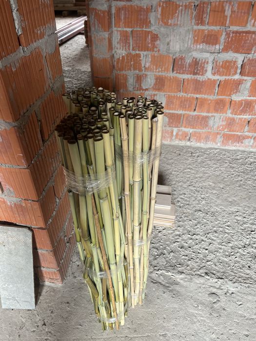 Бамбукові палиці як опора. Довжина 1м. Партія 50 шт.