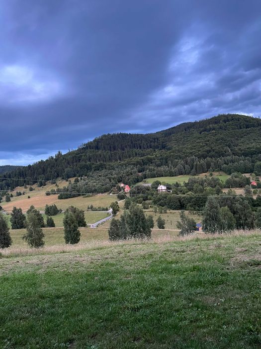 Domek całoroczny z jacuzzi | las, góry i pełen relaks