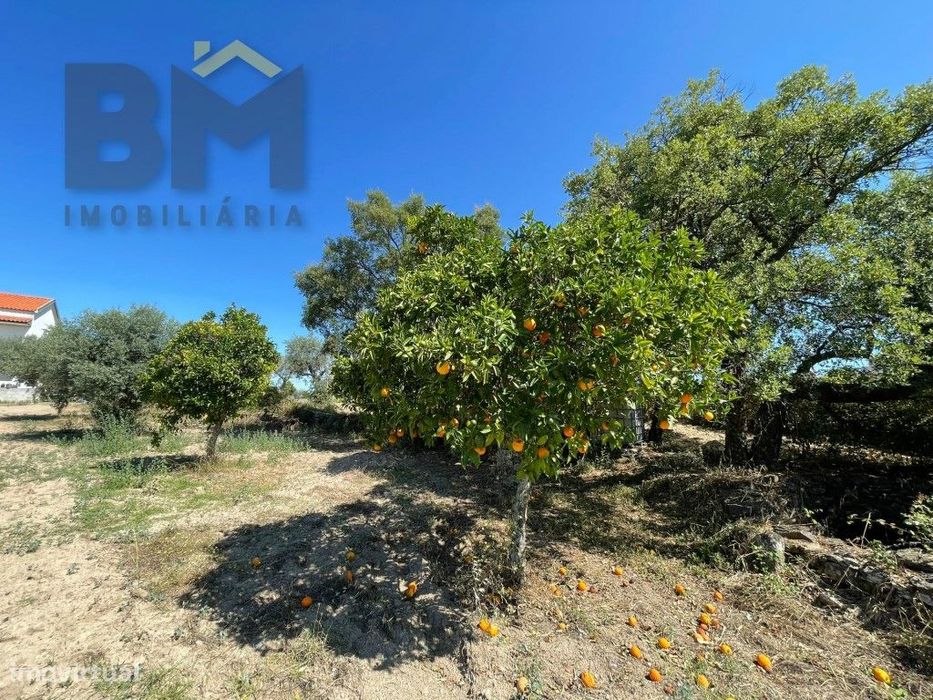 Terreno de 4000m² à Venda em Freixial do Campo