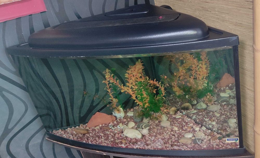 142л кутовий акваріум Природа панорама комплект led піддон кришка тумб