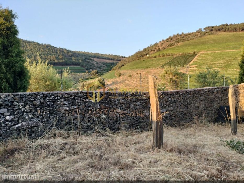 Terreno Agrícola para produção de Vinho