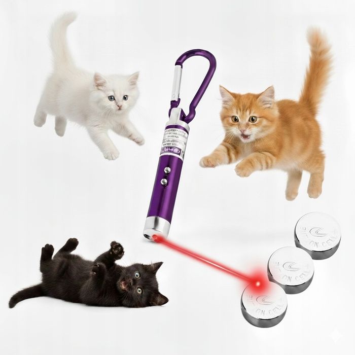 Laser wskaźnik laserowy latarka zabawka dla kota psa 3w1