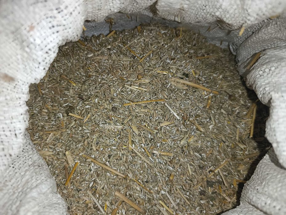 Продаж жита на корм тваринам